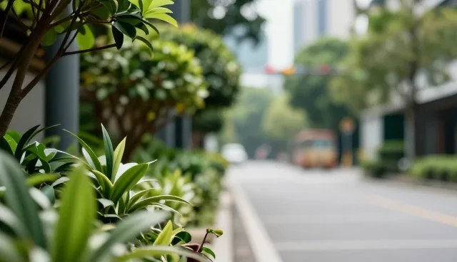 账号代运营中的内容维护与数据分析环节解析